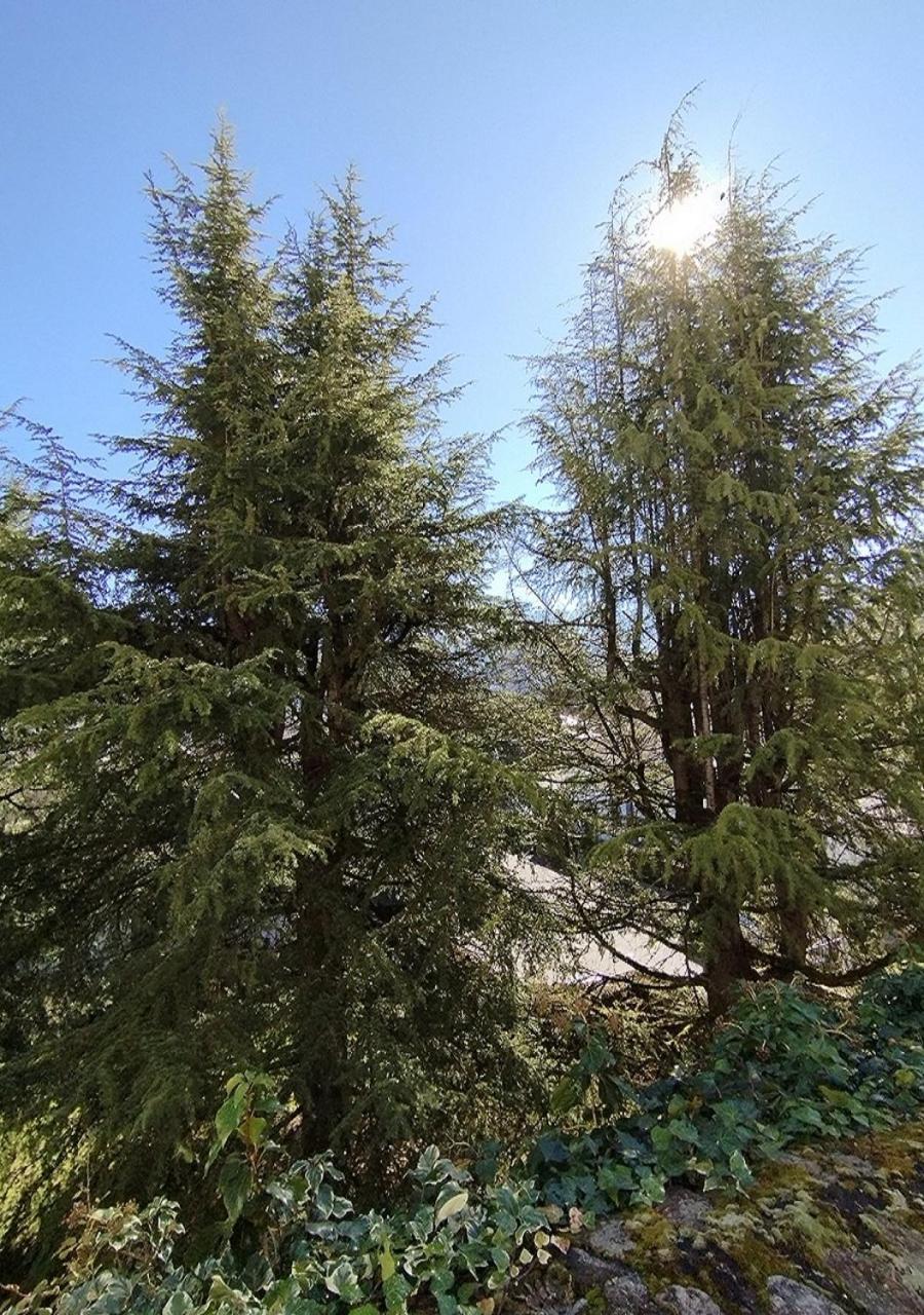 Appartement Le Welcome Argelès-Gazost Exteriör bild